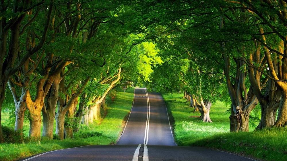 Season-(Summer-ฤดูร้อน)HD-Wallpapers-Backgrounds ภาพพื้นหลัง พักหน้าจอ No.30