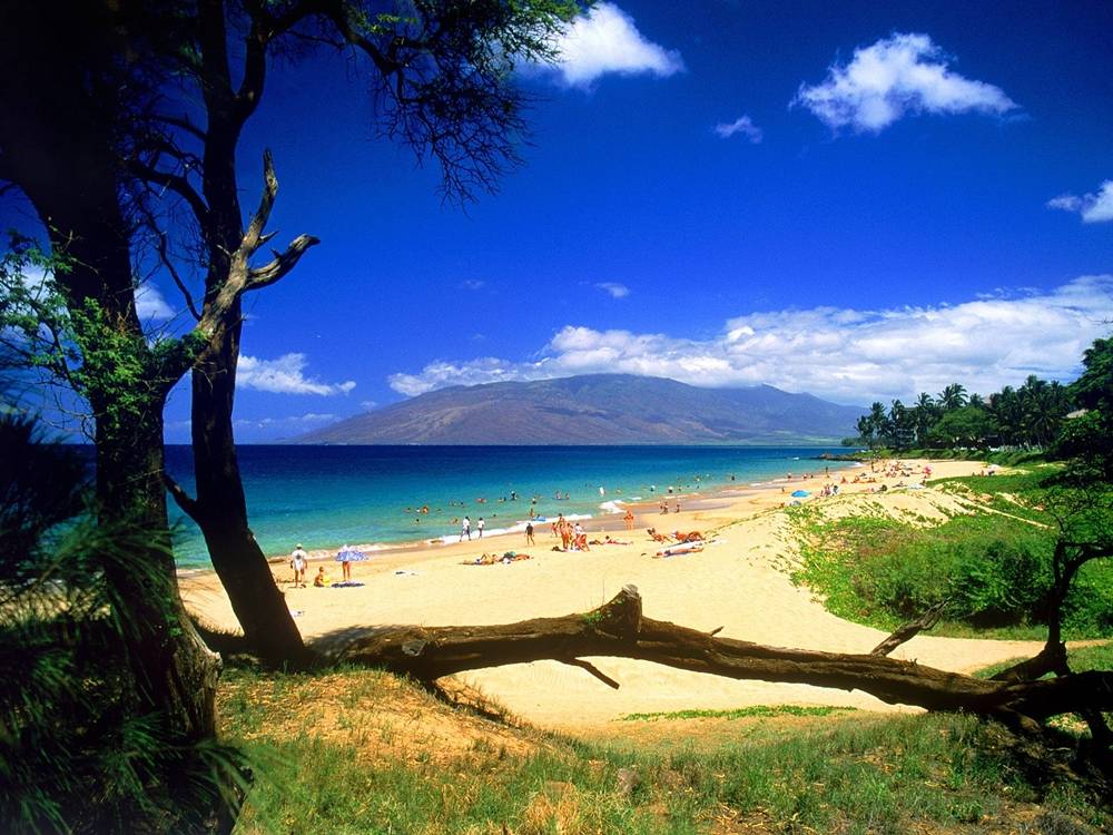Season-(Summer-ฤดูร้อน)HD-Wallpapers-Backgrounds ภาพพื้นหลัง พักหน้าจอ No.30