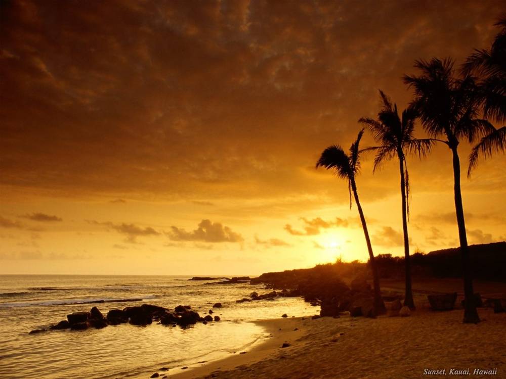 Season-(Summer-ฤดูร้อน)HD-Wallpapers-Backgrounds ภาพพื้นหลัง พักหน้าจอ No.30