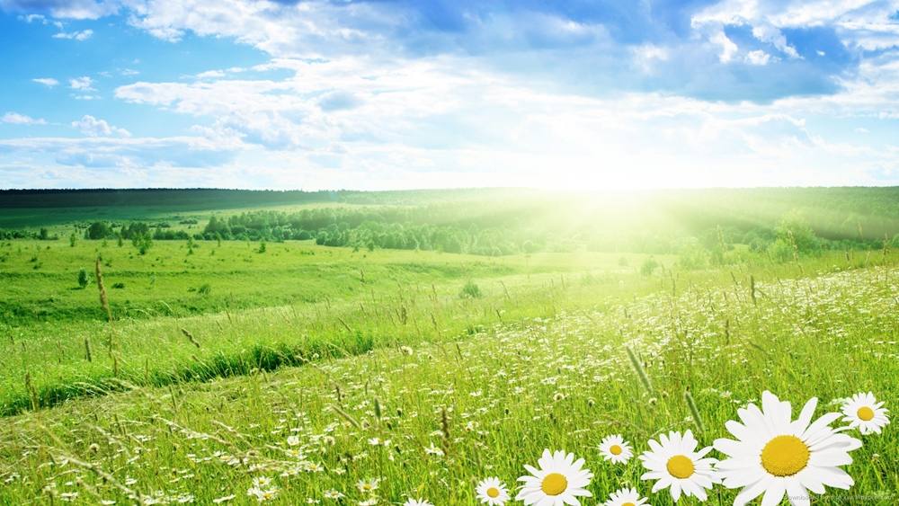 Season-(Summer-ฤดูร้อน)HD-Wallpapers-Backgrounds ภาพพื้นหลัง พักหน้าจอ No.30