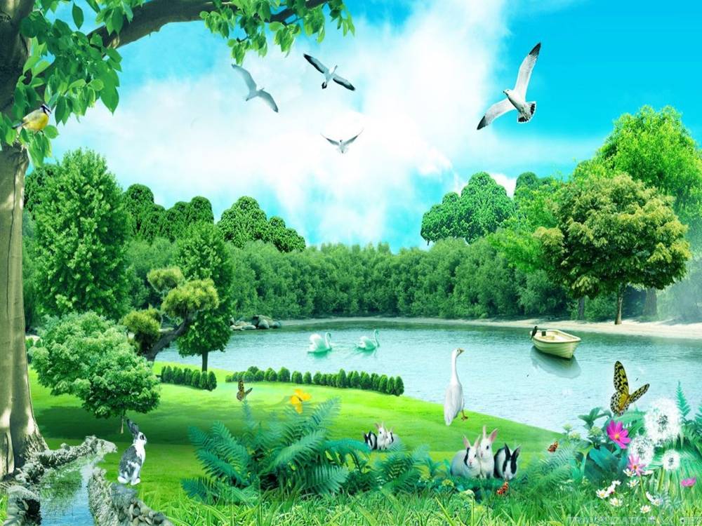 Season-(Summer-ฤดูร้อน)HD-Wallpapers-Backgrounds ภาพพื้นหลัง พักหน้าจอ No.30