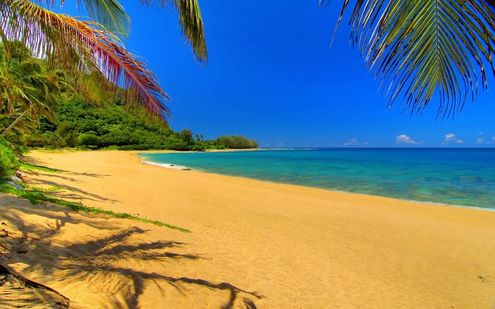 Season-(Summer-ฤดูร้อน)HD-Wallpapers-Backgrounds ภาพพื้นหลัง พักหน้าจอ No.30