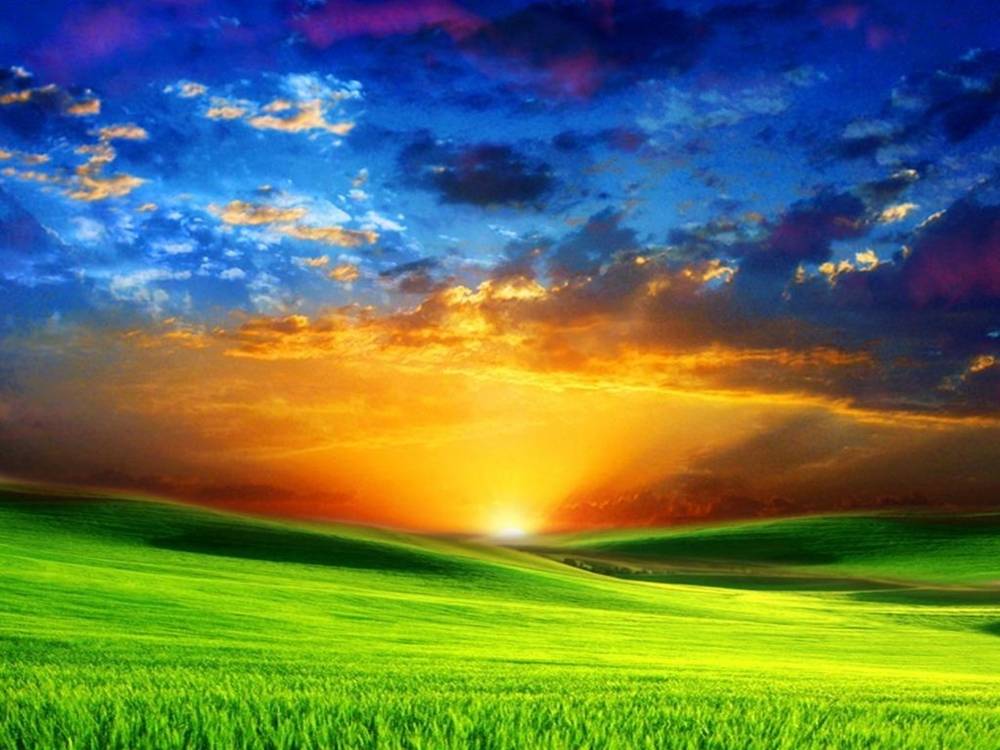 Season-(Summer-ฤดูร้อน)HD-Wallpapers-Backgrounds ภาพพื้นหลัง พักหน้าจอ No.31