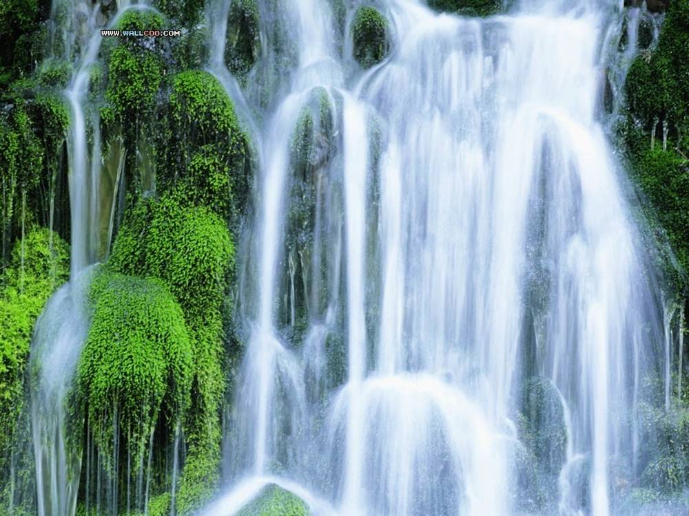Season-(Summer-ฤดูร้อน)HD-Wallpapers-Backgrounds ภาพพื้นหลัง พักหน้าจอ No.31