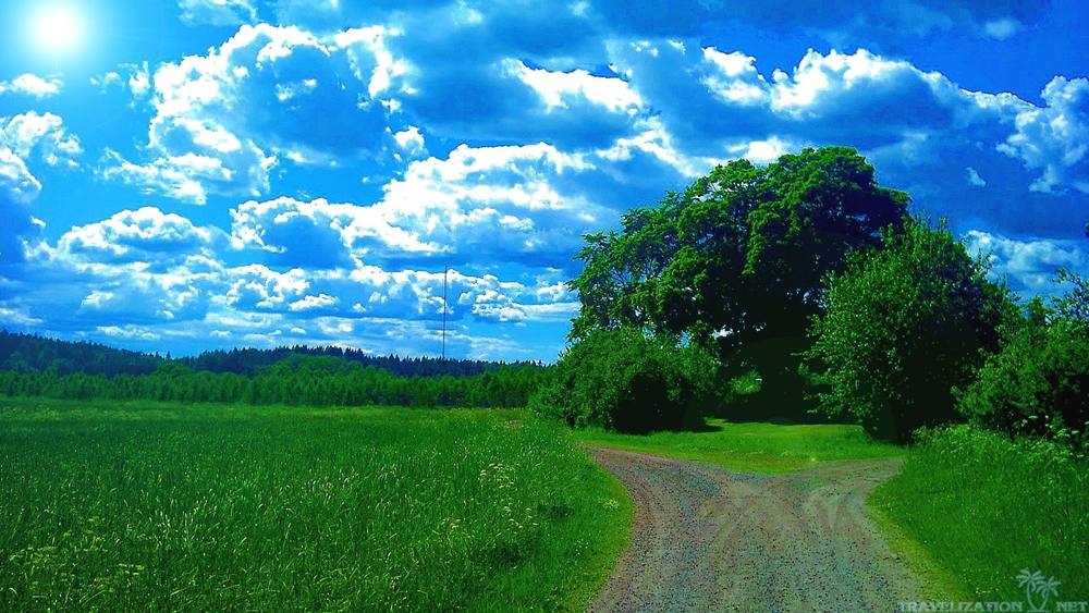 Season-(Summer-ฤดูร้อน)HD-Wallpapers-Backgrounds ภาพพื้นหลัง พักหน้าจอ No.31