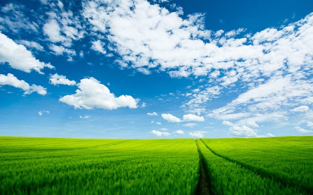 Season-(Summer-ฤดูร้อน)HD-Wallpapers-Backgrounds ภาพพื้นหลัง พักหน้าจอ No.31