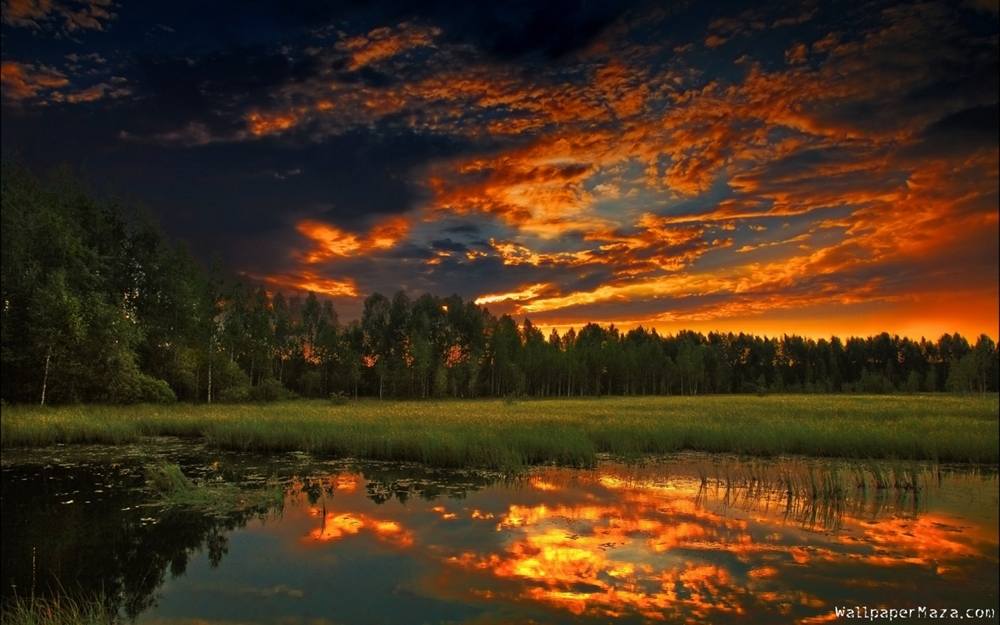 Season-(Summer-ฤดูร้อน)HD-Wallpapers-Backgrounds ภาพพื้นหลัง พักหน้าจอ No.31