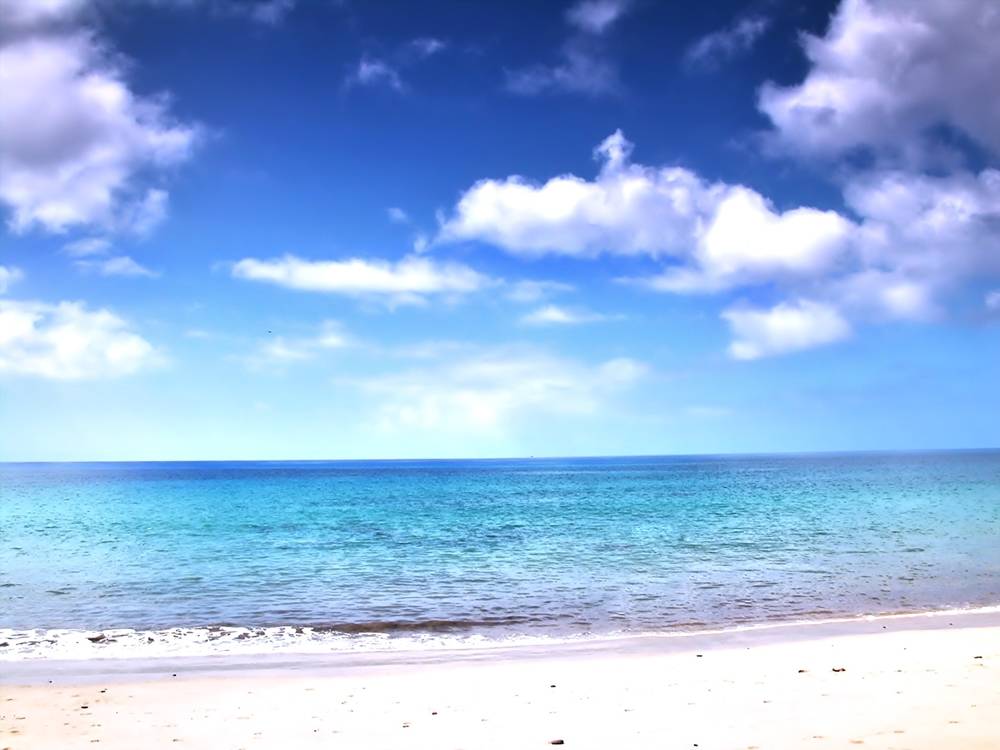 Season-(Summer-ฤดูร้อน)HD-Wallpapers-Backgrounds ภาพพื้นหลัง พักหน้าจอ No.31