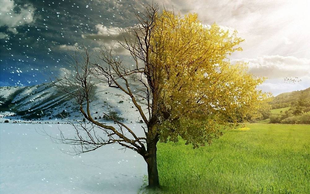 Season-(Summer-ฤดูร้อน)HD-Wallpapers-Backgrounds ภาพพื้นหลัง พักหน้าจอ No.31