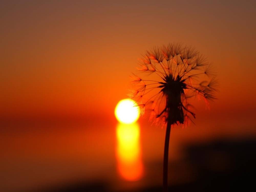 Season-(Summer-ฤดูร้อน)HD-Wallpapers-Backgrounds ภาพพื้นหลัง พักหน้าจอ No.32