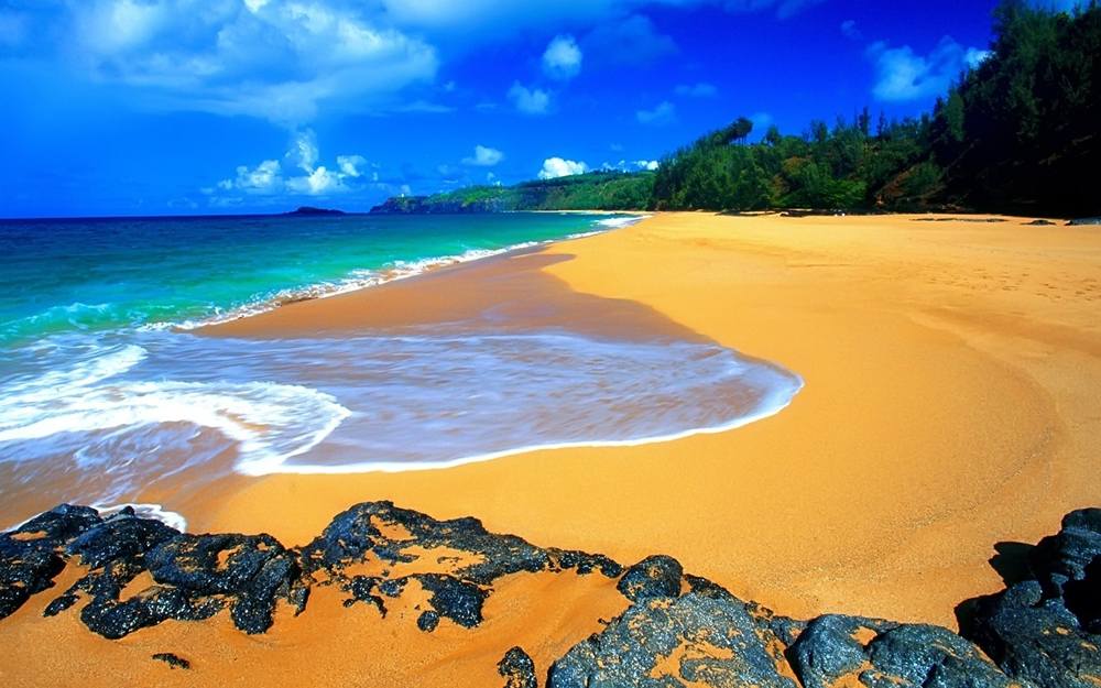 Season-(Summer-ฤดูร้อน)HD-Wallpapers-Backgrounds ภาพพื้นหลัง พักหน้าจอ No.32