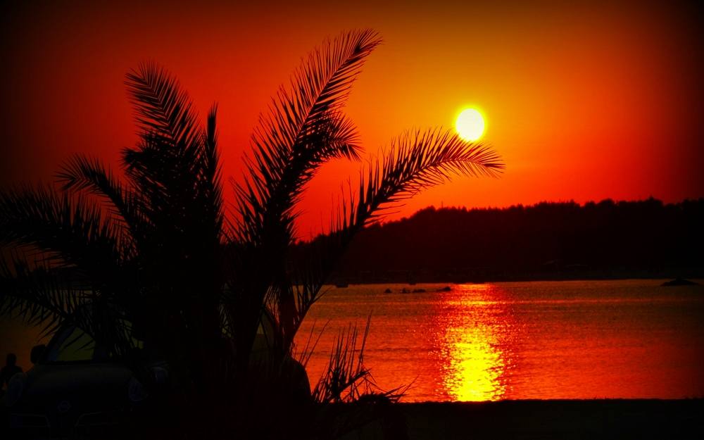 Season-(Summer-ฤดูร้อน)HD-Wallpapers-Backgrounds ภาพพื้นหลัง พักหน้าจอ No.32