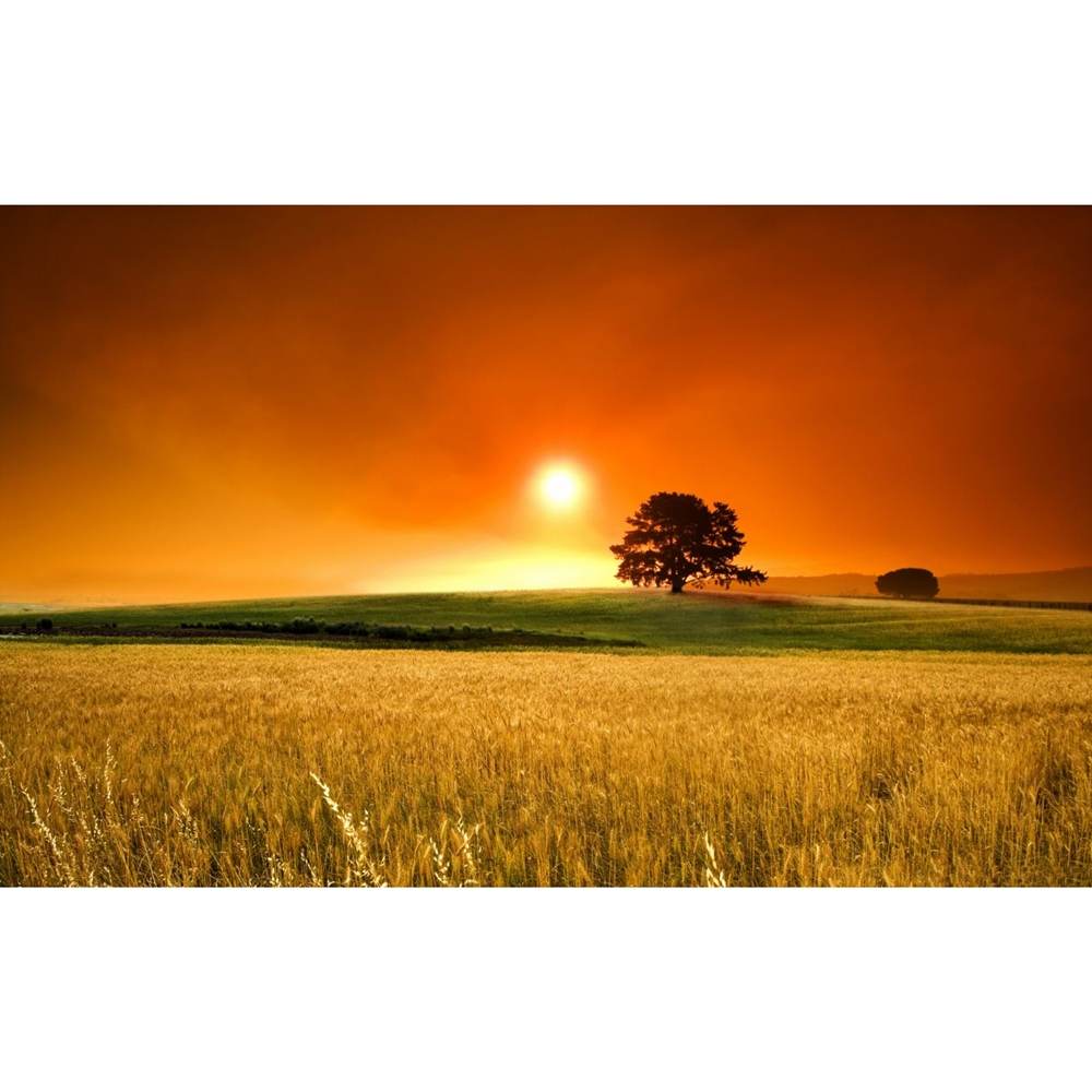 Season-(Summer-ฤดูร้อน)HD-Wallpapers-Backgrounds ภาพพื้นหลัง พักหน้าจอ No.32