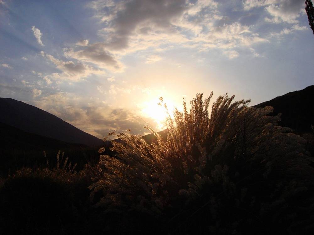 Season-(Summer-ฤดูร้อน)HD-Wallpapers-Backgrounds ภาพพื้นหลัง พักหน้าจอ No.32