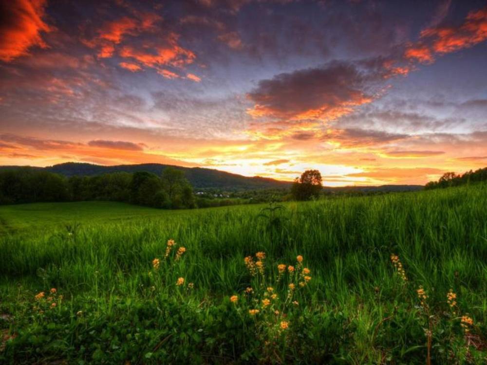 Season-(Summer-ฤดูร้อน)HD-Wallpapers-Backgrounds ภาพพื้นหลัง พักหน้าจอ No.32