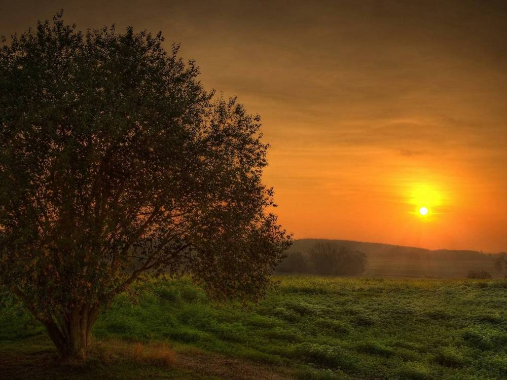 Season-(Summer-ฤดูร้อน)HD-Wallpapers-Backgrounds ภาพพื้นหลัง พักหน้าจอ No.33