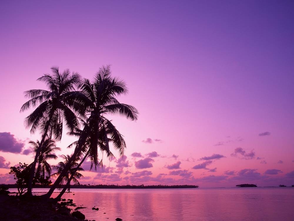 Season-(Summer-ฤดูร้อน)HD-Wallpapers-Backgrounds ภาพพื้นหลัง พักหน้าจอ No.33