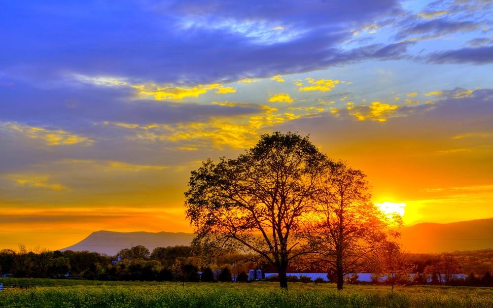 Season-(Summer-ฤดูร้อน)HD-Wallpapers-Backgrounds ภาพพื้นหลัง พักหน้าจอ No.33