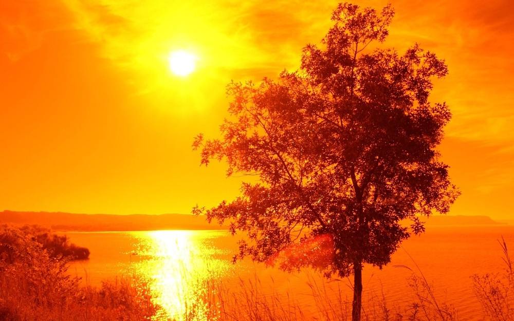 Season-(Summer-ฤดูร้อน)HD-Wallpapers-Backgrounds ภาพพื้นหลัง พักหน้าจอ No.33