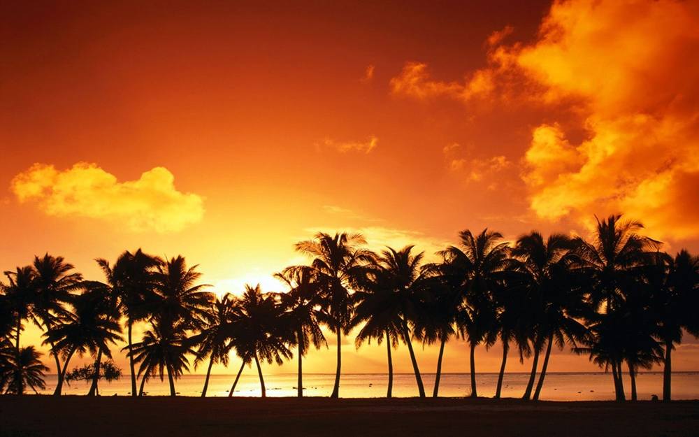 Season-(Summer-ฤดูร้อน)HD-Wallpapers-Backgrounds ภาพพื้นหลัง พักหน้าจอ No.33