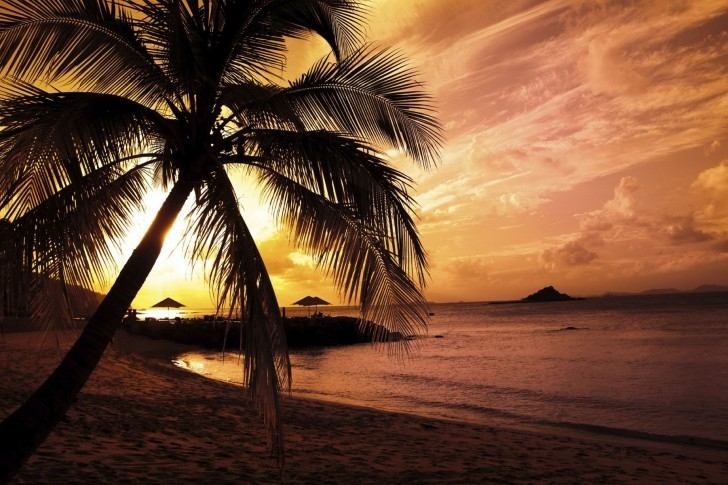 Season-(Summer-ฤดูร้อน)HD-Wallpapers-Backgrounds ภาพพื้นหลัง พักหน้าจอ No.33