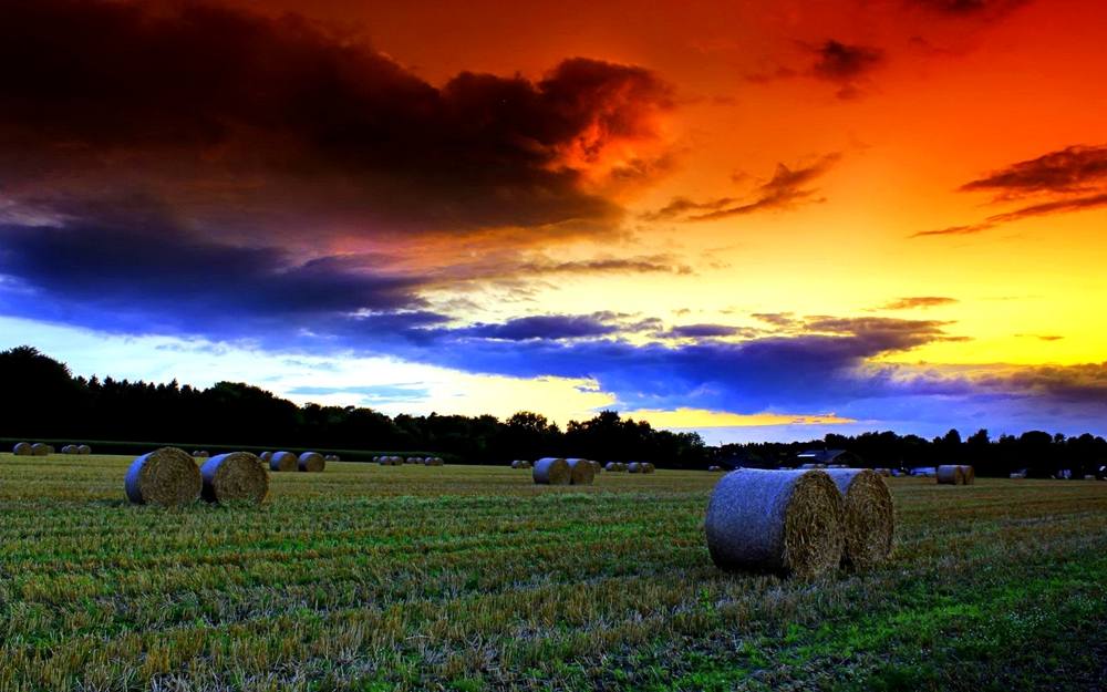 Season-(Summer-ฤดูร้อน)HD-Wallpapers-Backgrounds ภาพพื้นหลัง พักหน้าจอ No.33