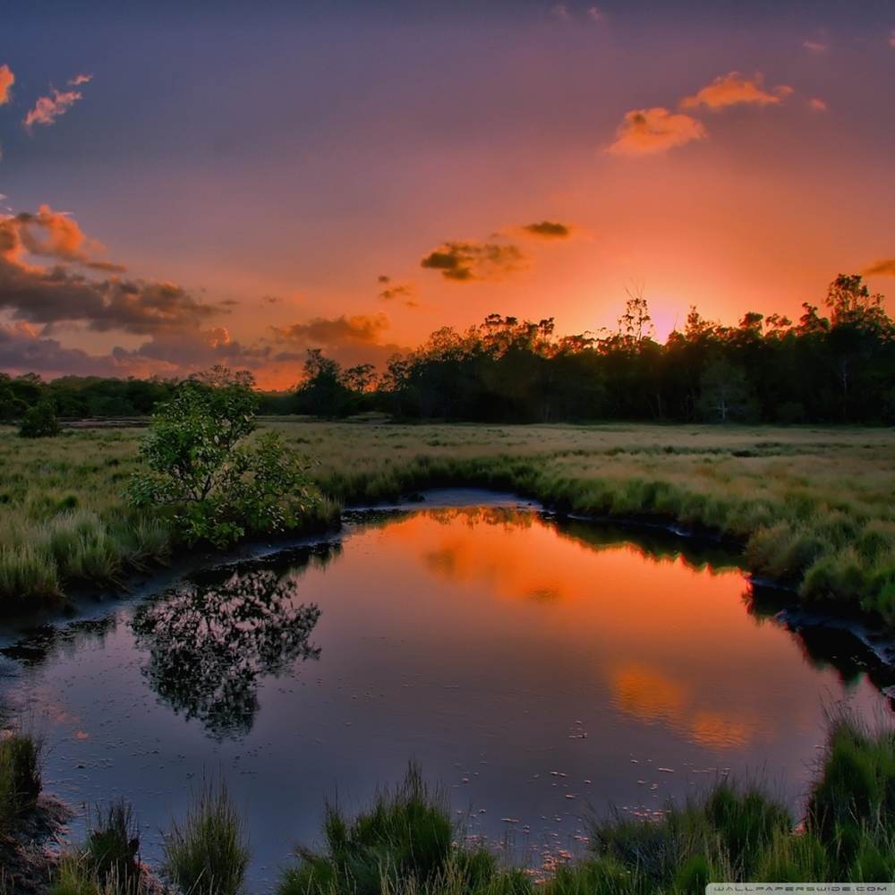 Season-(Summer-ฤดูร้อน)HD-Wallpapers-Backgrounds ภาพพื้นหลัง พักหน้าจอ No.33