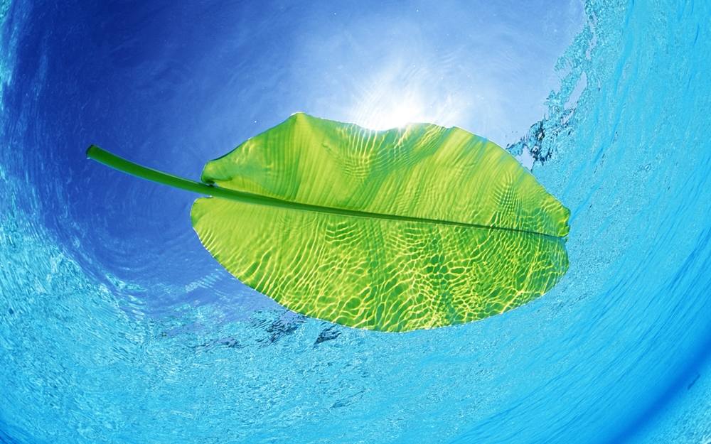 Season-(Summer-ฤดูร้อน)HD-Wallpapers-Backgrounds ภาพพื้นหลัง พักหน้าจอ No.34