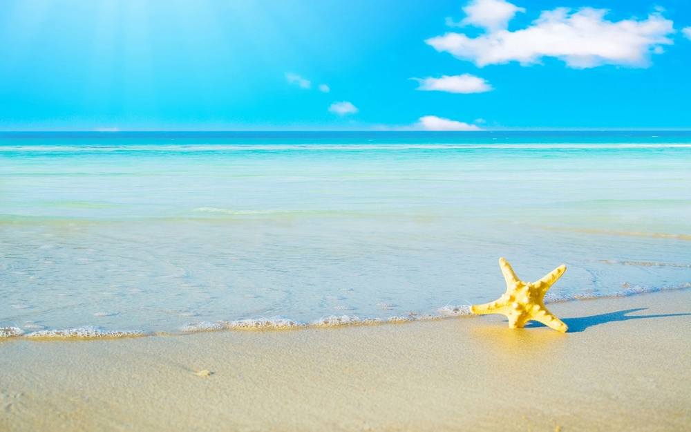 Season-(Summer-ฤดูร้อน)HD-Wallpapers-Backgrounds ภาพพื้นหลัง พักหน้าจอ No.34