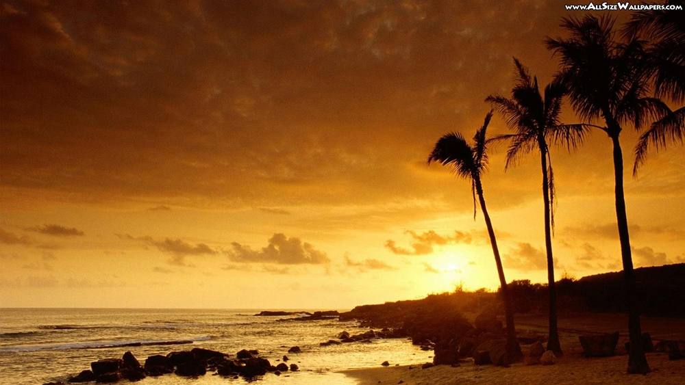 Season-(Summer-ฤดูร้อน)HD-Wallpapers-Backgrounds ภาพพื้นหลัง พักหน้าจอ No.34