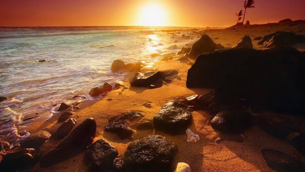 Season-(Summer-ฤดูร้อน)HD-Wallpapers-Backgrounds ภาพพื้นหลัง พักหน้าจอ No.34