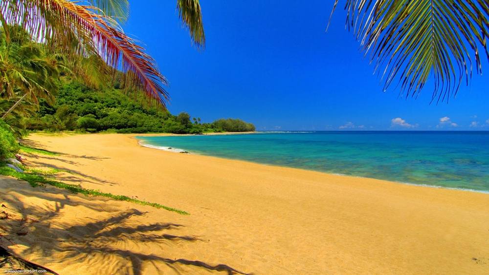 Season-(Summer-ฤดูร้อน)HD-Wallpapers-Backgrounds ภาพพื้นหลัง พักหน้าจอ No.34