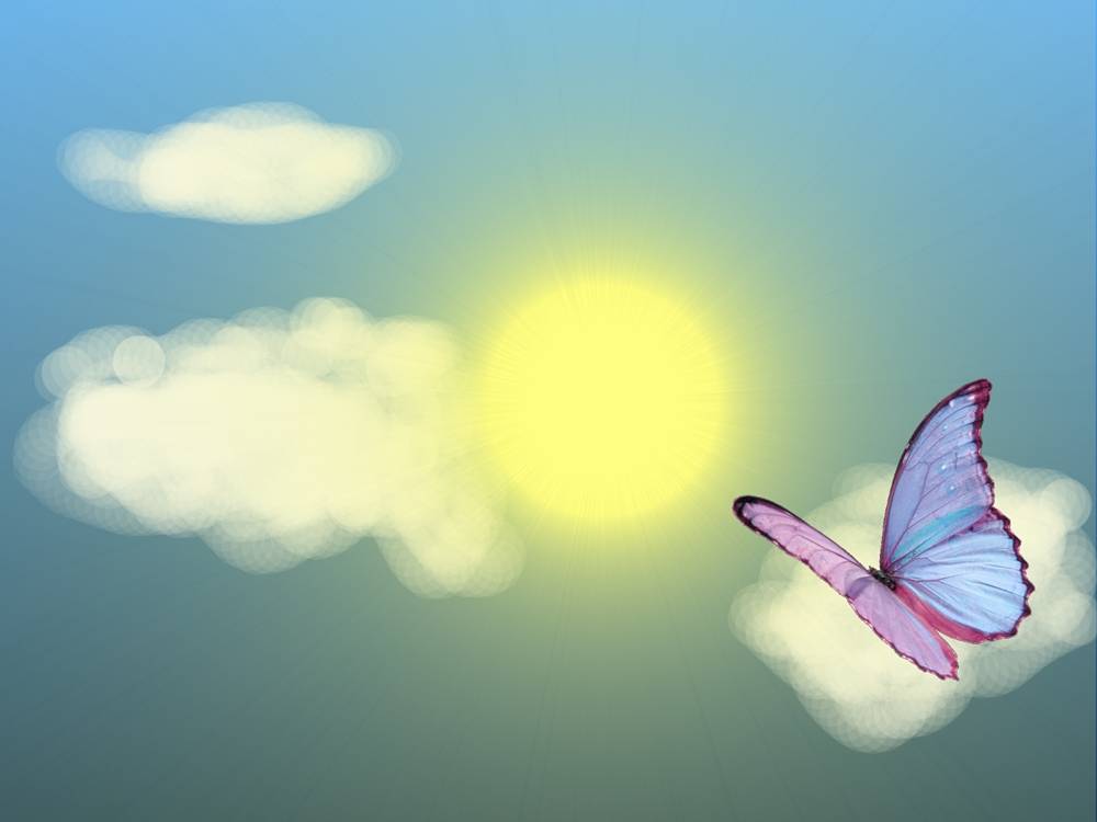 Season-(Summer-ฤดูร้อน)HD-Wallpapers-Backgrounds ภาพพื้นหลัง พักหน้าจอ No.34
