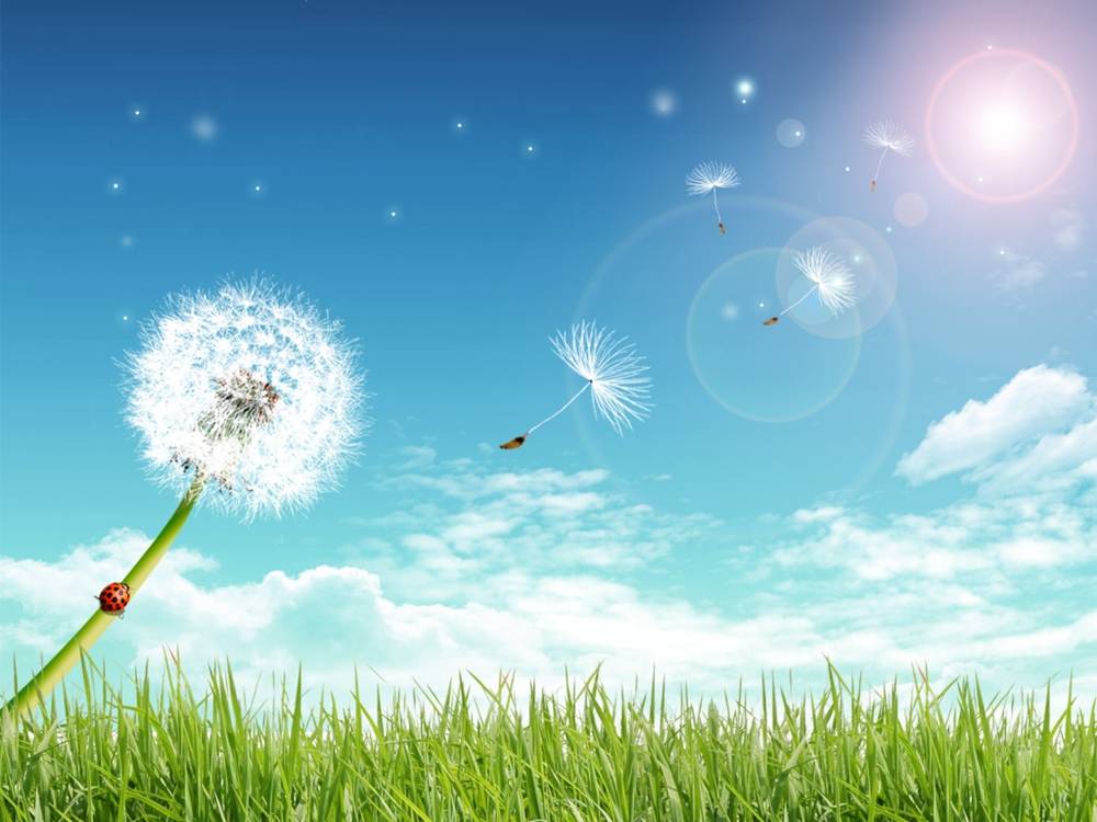 Season-(Summer-ฤดูร้อน)HD-Wallpapers-Backgrounds ภาพพื้นหลัง พักหน้าจอ No.34