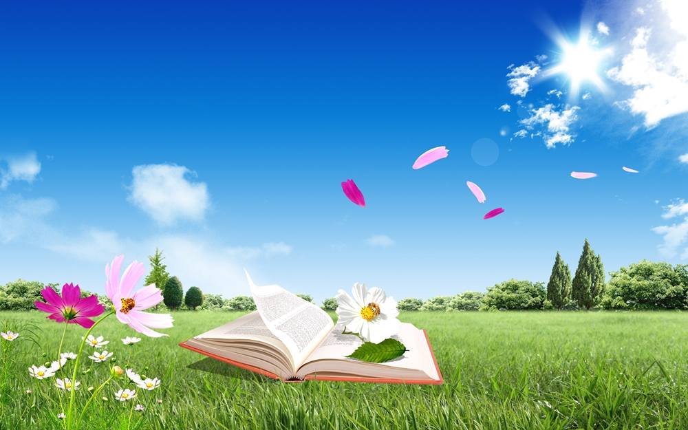 Season-(Summer-ฤดูร้อน)HD-Wallpapers-Backgrounds ภาพพื้นหลัง พักหน้าจอ No.36