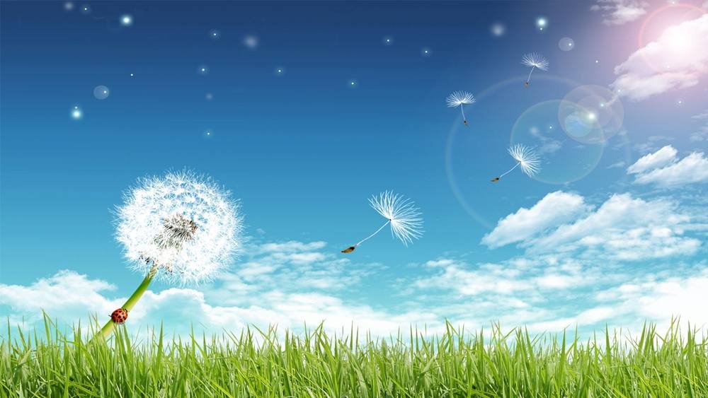 Season-(Summer-ฤดูร้อน)HD-Wallpapers-Backgrounds ภาพพื้นหลัง พักหน้าจอ No.36