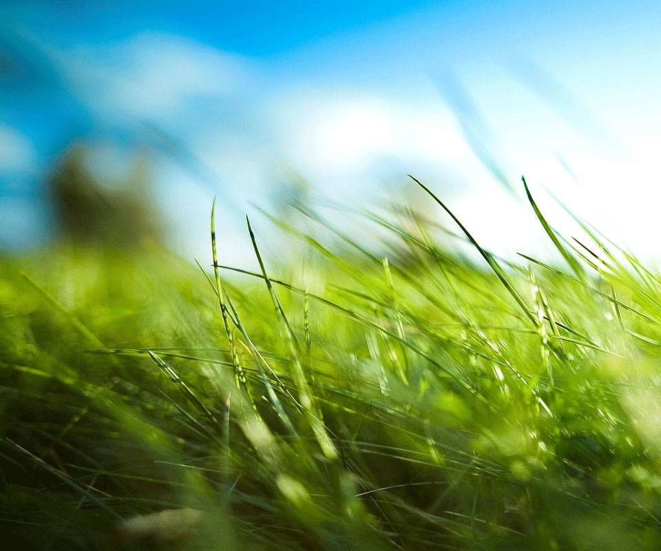 Season-(Summer-ฤดูร้อน)HD-Wallpapers-Backgrounds ภาพพื้นหลัง พักหน้าจอ No.36