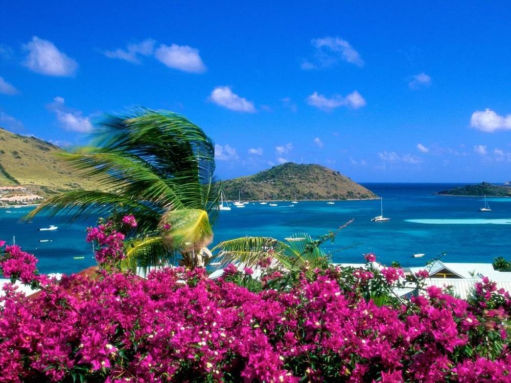Season-(Summer-ฤดูร้อน)HD-Wallpapers-Backgrounds ภาพพื้นหลัง พักหน้าจอ No.36