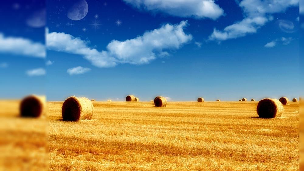 Season-(Summer-ฤดูร้อน)HD-Wallpapers-Backgrounds ภาพพื้นหลัง พักหน้าจอ No.37