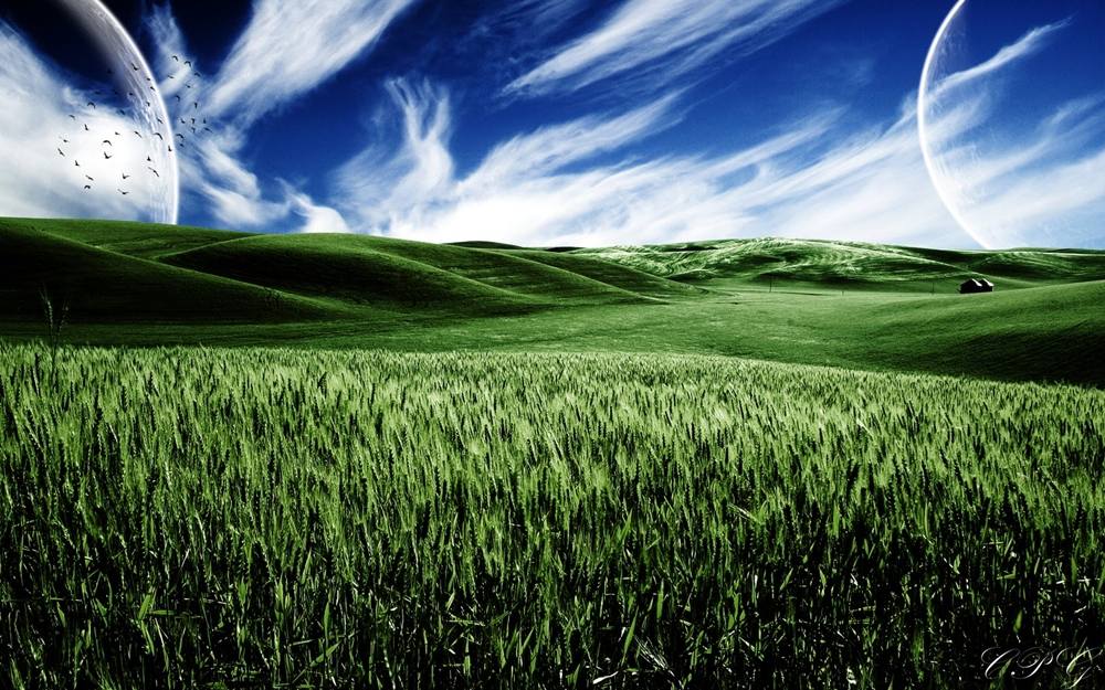 Season-(Summer-ฤดูร้อน)HD-Wallpapers-Backgrounds ภาพพื้นหลัง พักหน้าจอ No.37