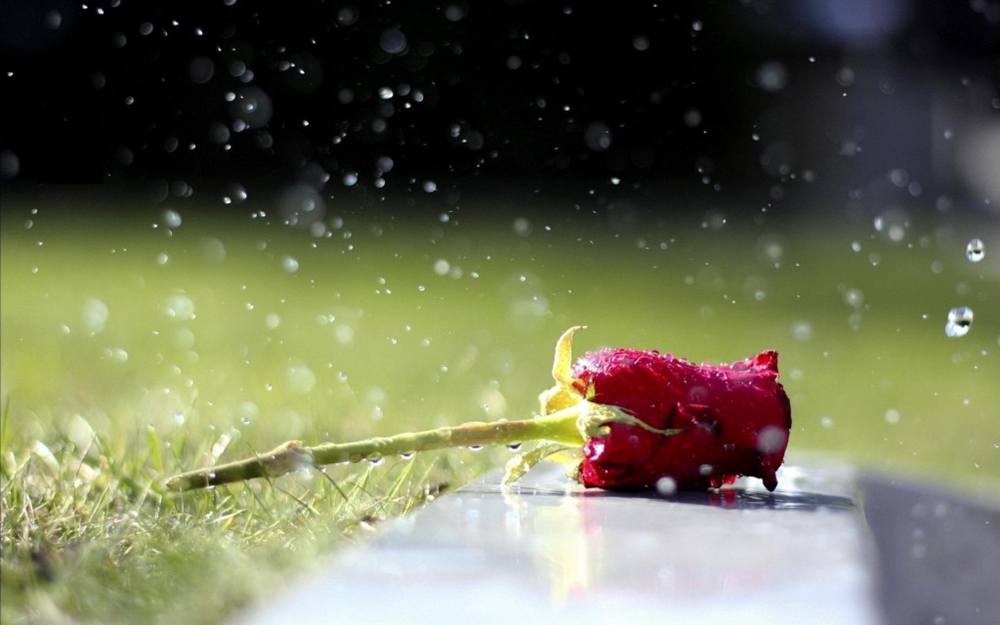 Season-(Summer-ฤดูร้อน)HD-Wallpapers-Backgrounds ภาพพื้นหลัง พักหน้าจอ No.37