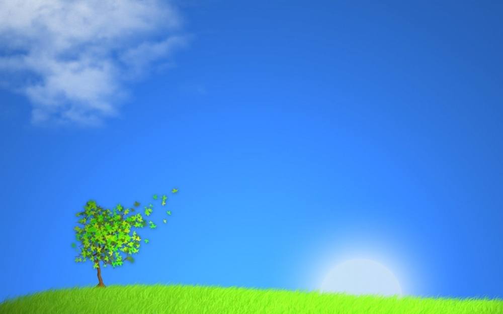Season-(Summer-ฤดูร้อน)HD-Wallpapers-Backgrounds ภาพพื้นหลัง พักหน้าจอ No.37