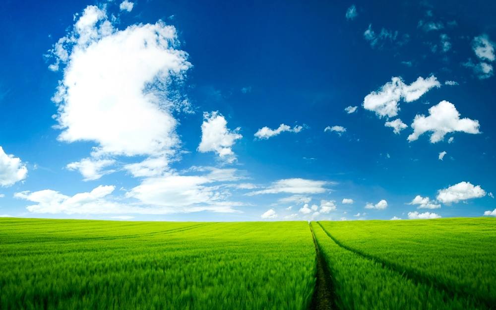 Season-(Summer-ฤดูร้อน)HD-Wallpapers-Backgrounds ภาพพื้นหลัง พักหน้าจอ No.37