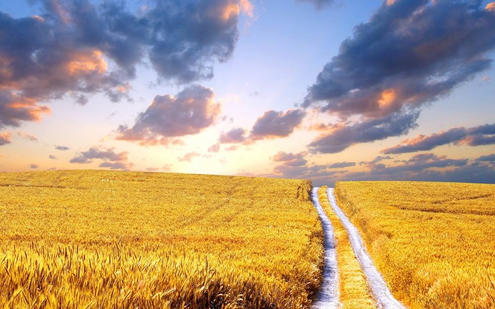 Season-(Summer-ฤดูร้อน)HD-Wallpapers-Backgrounds ภาพพื้นหลัง พักหน้าจอ No.37