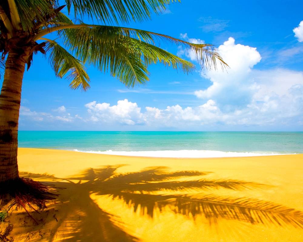 Season-(Summer-ฤดูร้อน)HD-Wallpapers-Backgrounds ภาพพื้นหลัง พักหน้าจอ No.37