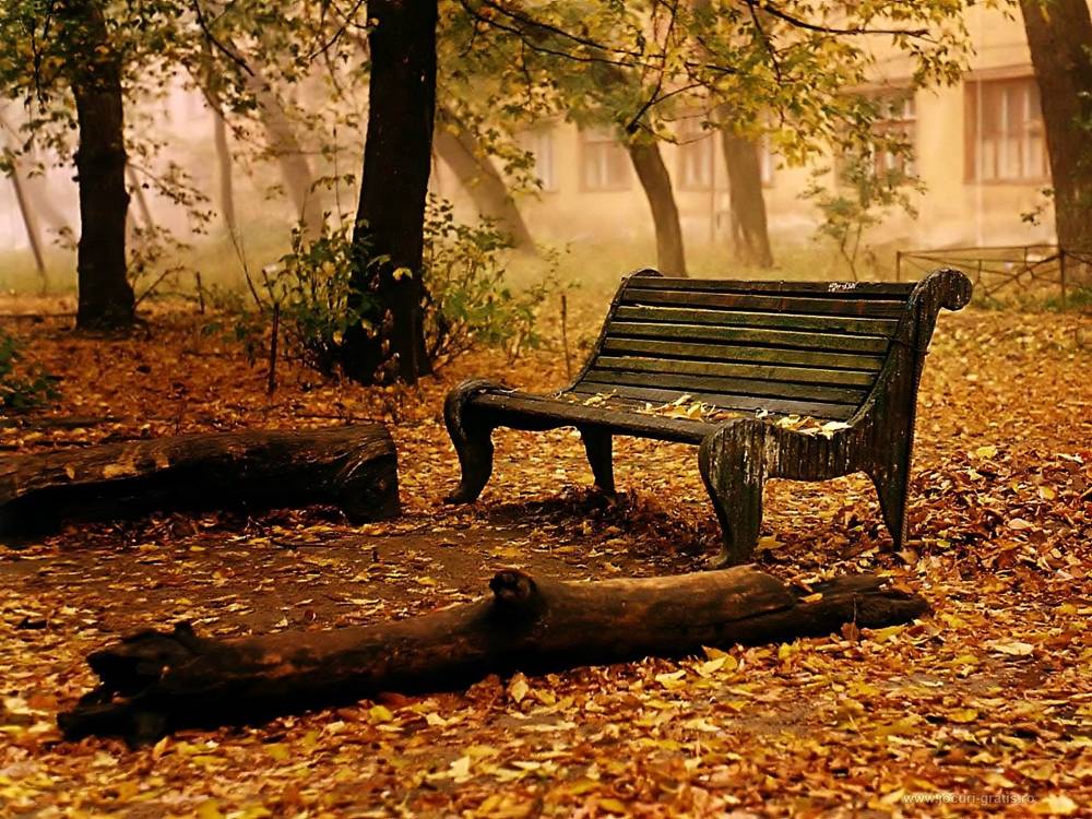 Season-(Summer-ฤดูร้อน)HD-Wallpapers-Backgrounds ภาพพื้นหลัง พักหน้าจอ No.37