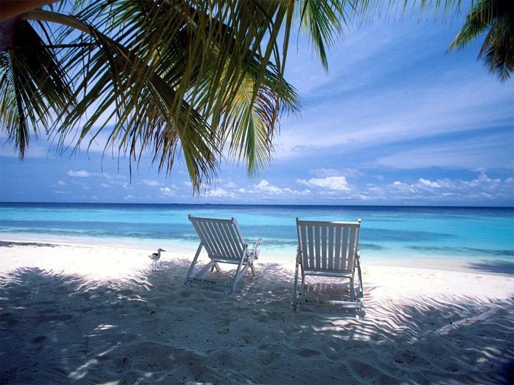 Season-(Summer-ฤดูร้อน)HD-Wallpapers-Backgrounds ภาพพื้นหลัง พักหน้าจอ No.37