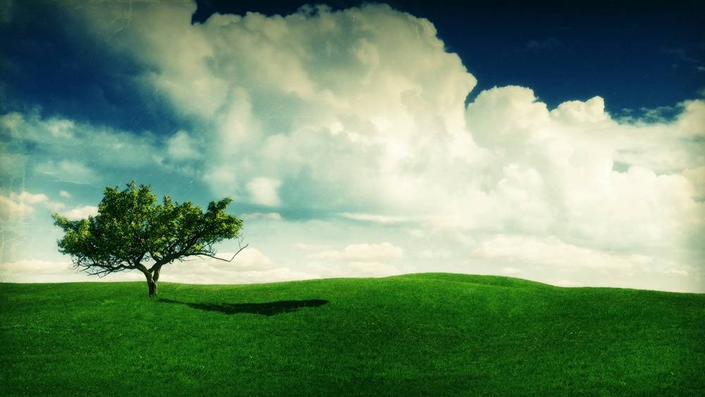 Season-(Summer-ฤดูร้อน)HD-Wallpapers-Backgrounds ภาพพื้นหลัง พักหน้าจอ No.38