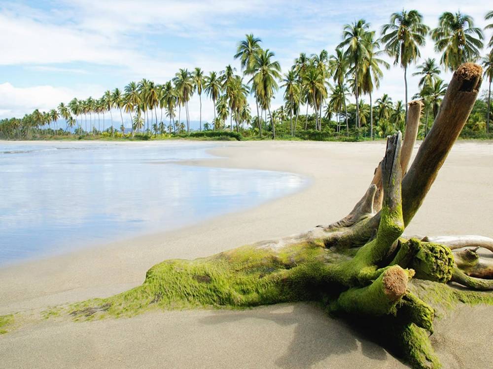 Season-(Summer-ฤดูร้อน)HD-Wallpapers-Backgrounds ภาพพื้นหลัง พักหน้าจอ No.38
