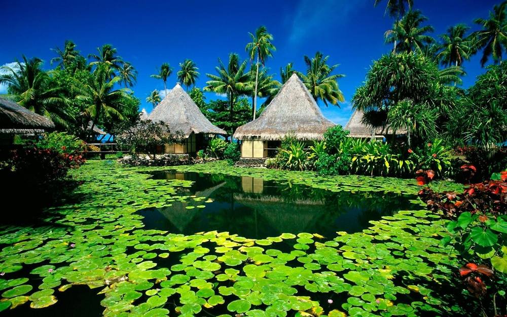 Season-(Summer-ฤดูร้อน)HD-Wallpapers-Backgrounds ภาพพื้นหลัง พักหน้าจอ No.38